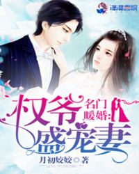 名门暖婚权爷盛宠妻类似小说
